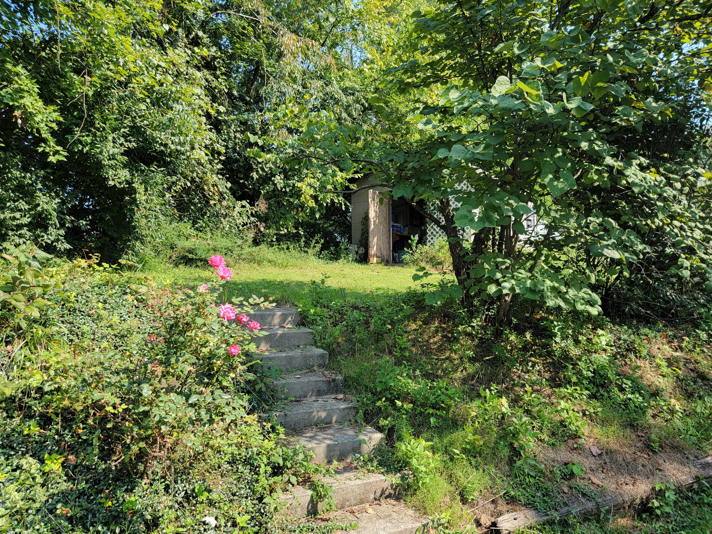 3282 Old Ruckerville Road Winchester, KY 40391 - Photo 45 of 52 20220916_114321