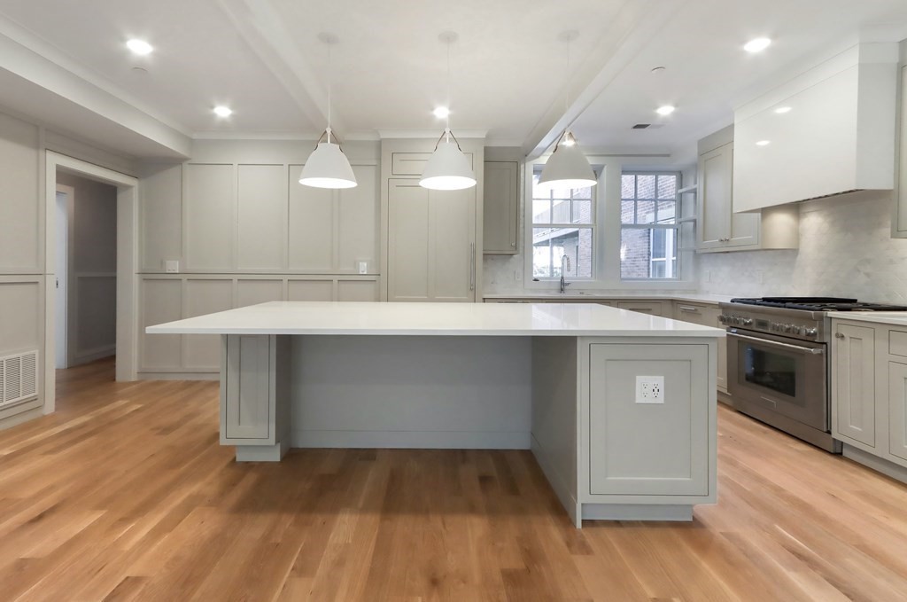 189 Babcock Street, Unit 2 Brookline, MA 02446 - Photo 12 of 39 a large kitchen with granite countertop a large counter top a sink stainless steel appliances and cabinets