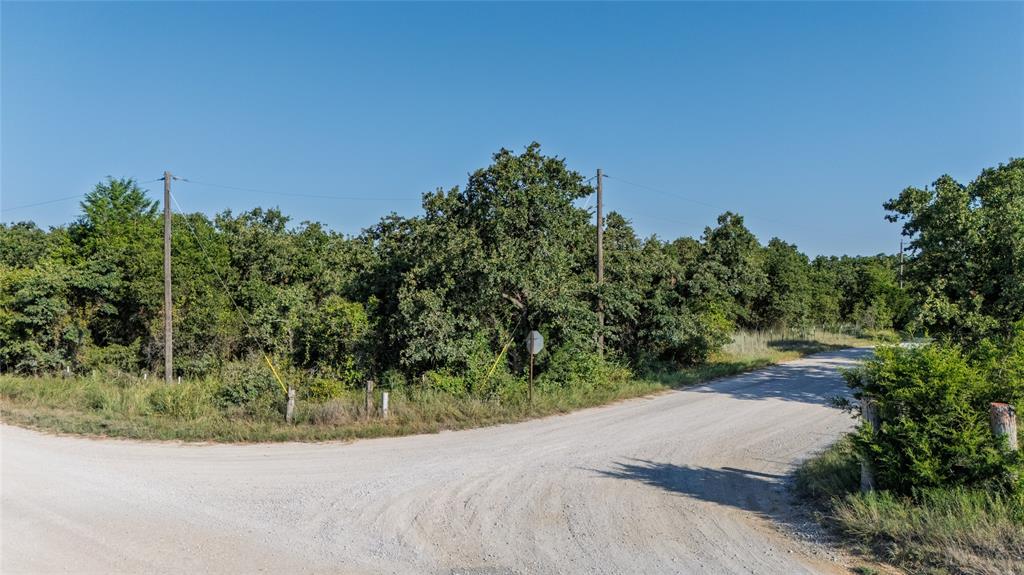 Tbd Old Vashti Road Bowie, TX 76230 - Photo 33 of 36 a view of a garden with plants and a large tree