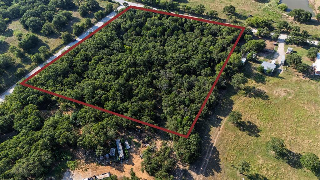 Tbd Old Vashti Road Bowie, TX 76230 - Photo 8 of 36 a close up of a plant