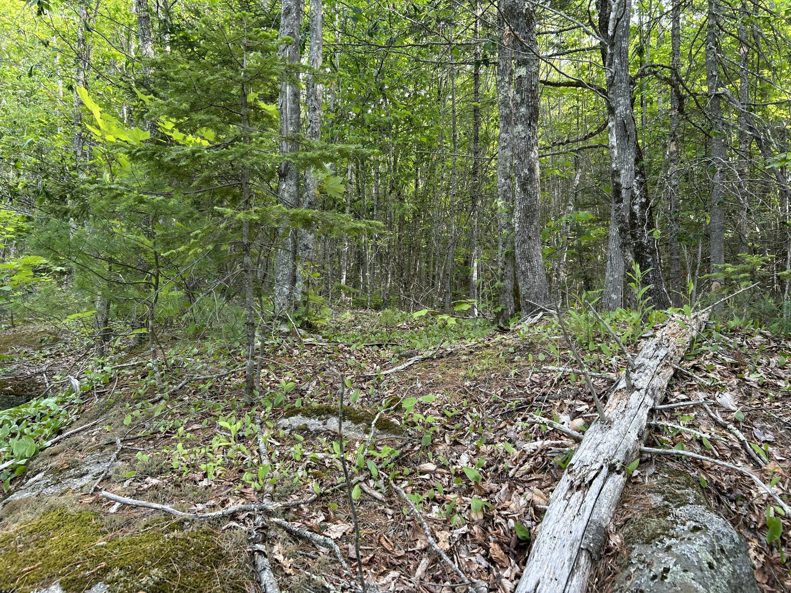 M5-l16 Clark Road Prospect, ME 04981 - Photo 10 of 45 IMG_8750