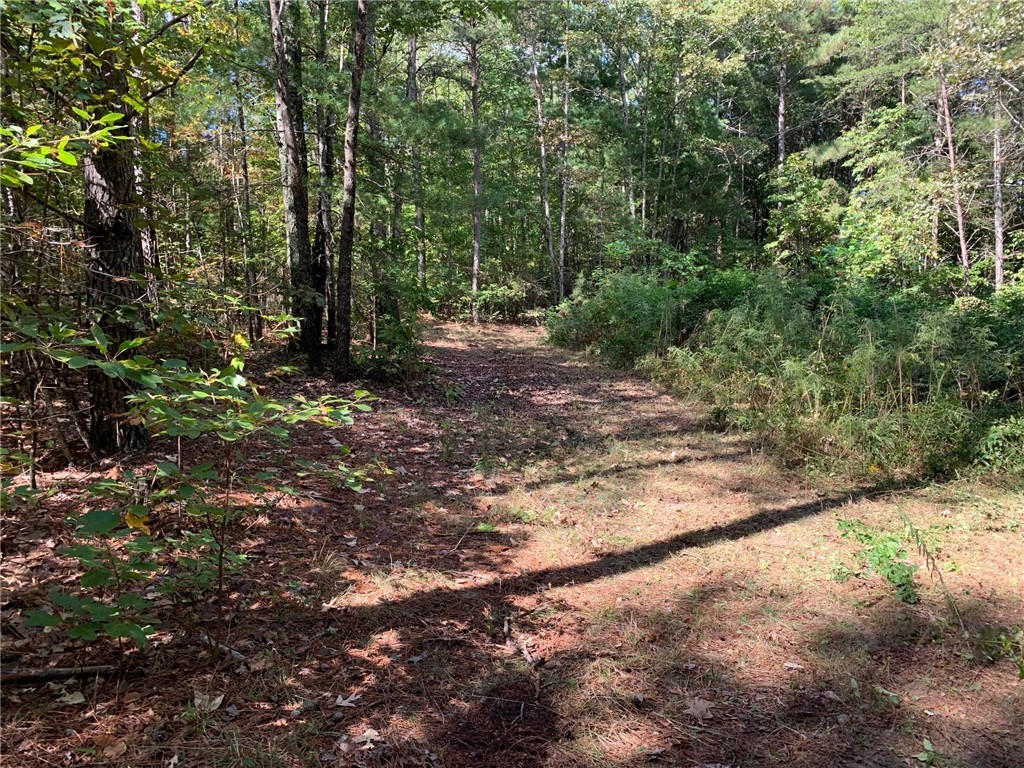 0 Lay Mill Road Walhalla, SC 29691 - Photo 10 of 14 Gallery Image 10