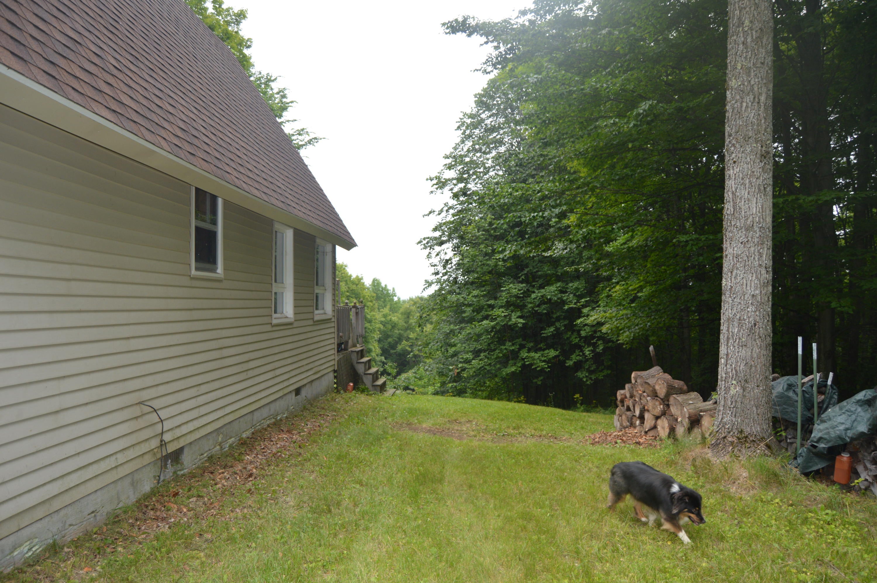 2910 Munger Road Carp Lake, MI 49718 - Photo 23 of 43 Gallery Image 23