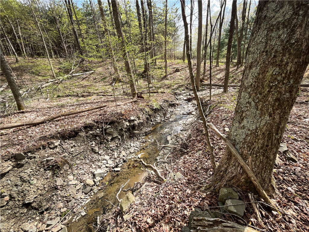 West Creek Road Richford, NY 13835 - Photo 6 of 44