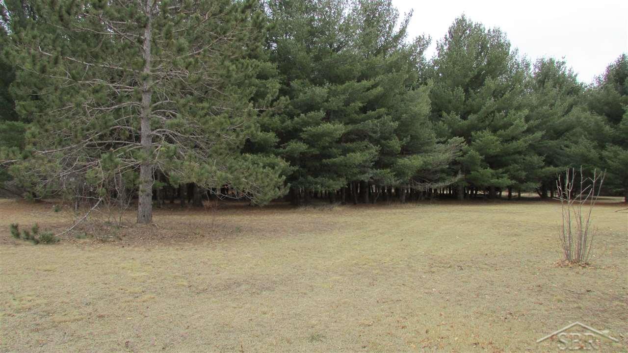 31 West Huron Road Omer, MI 48749 - Photo 13 of 20