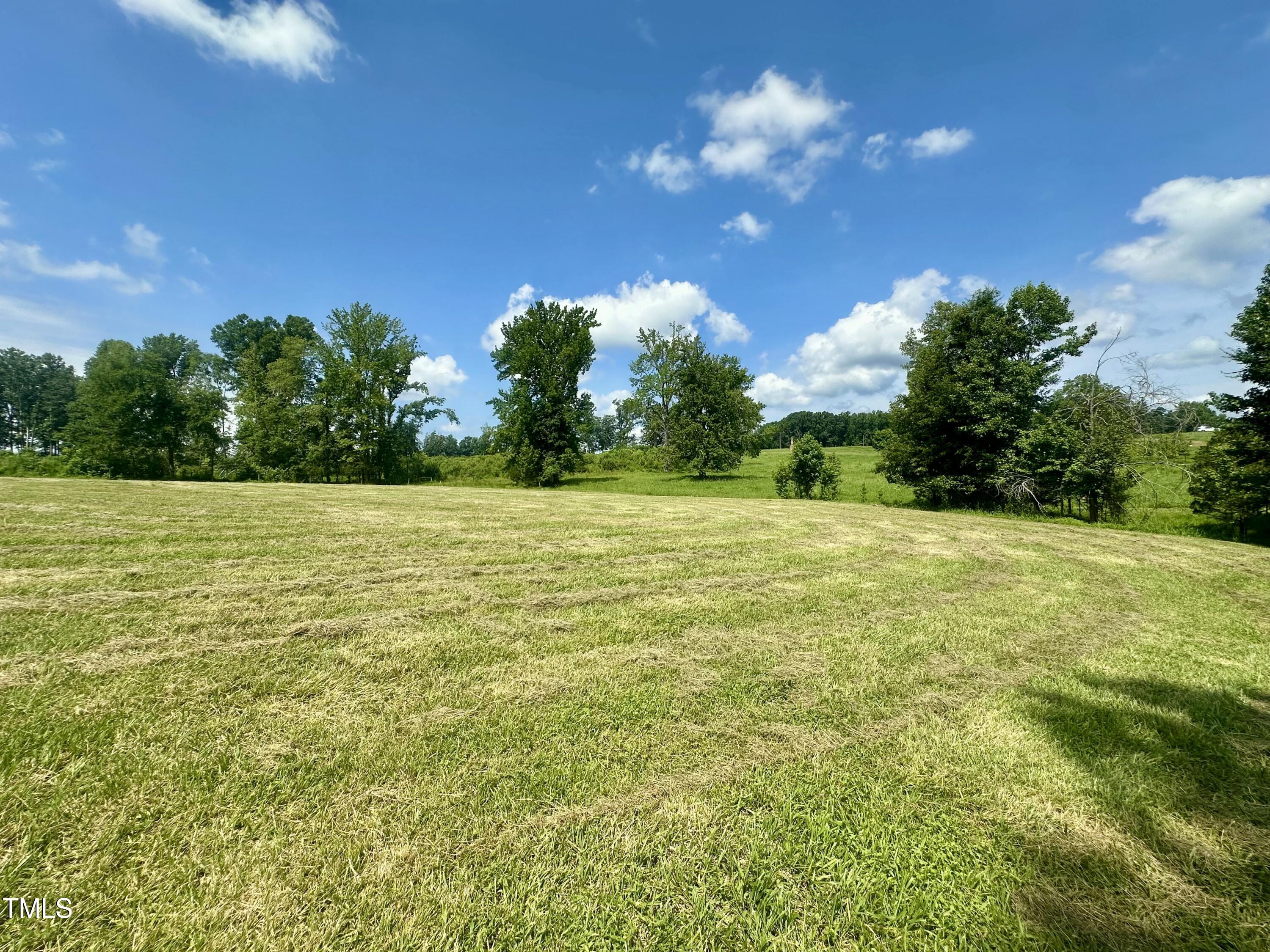 Lot 4 Jones Road Hurdle Mills, NC 27541 - Photo 1 of 20 a view of a green yard with a house in the background