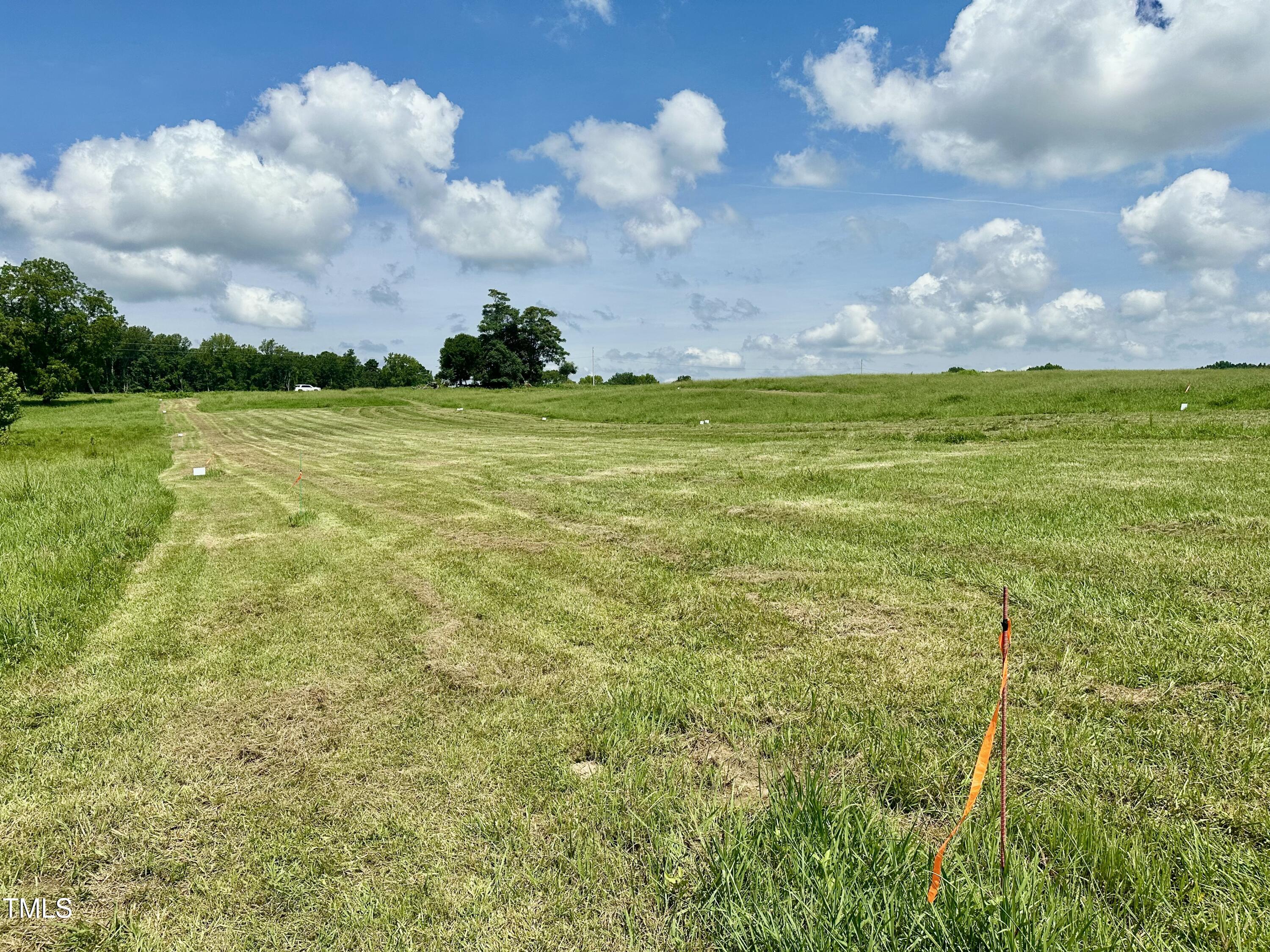 Lot 4 Jones Road Hurdle Mills, NC 27541 - Photo 11 of 20 a view of yard with an outdoor space
