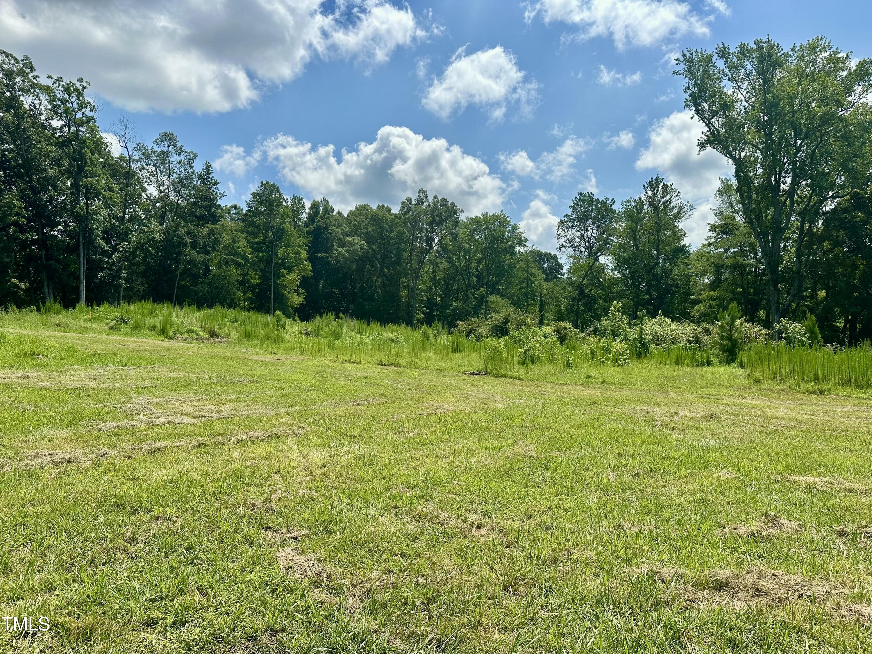Lot 4 Jones Road Hurdle Mills, NC 27541 - Photo 12 of 20 a view of a field with an trees in the background