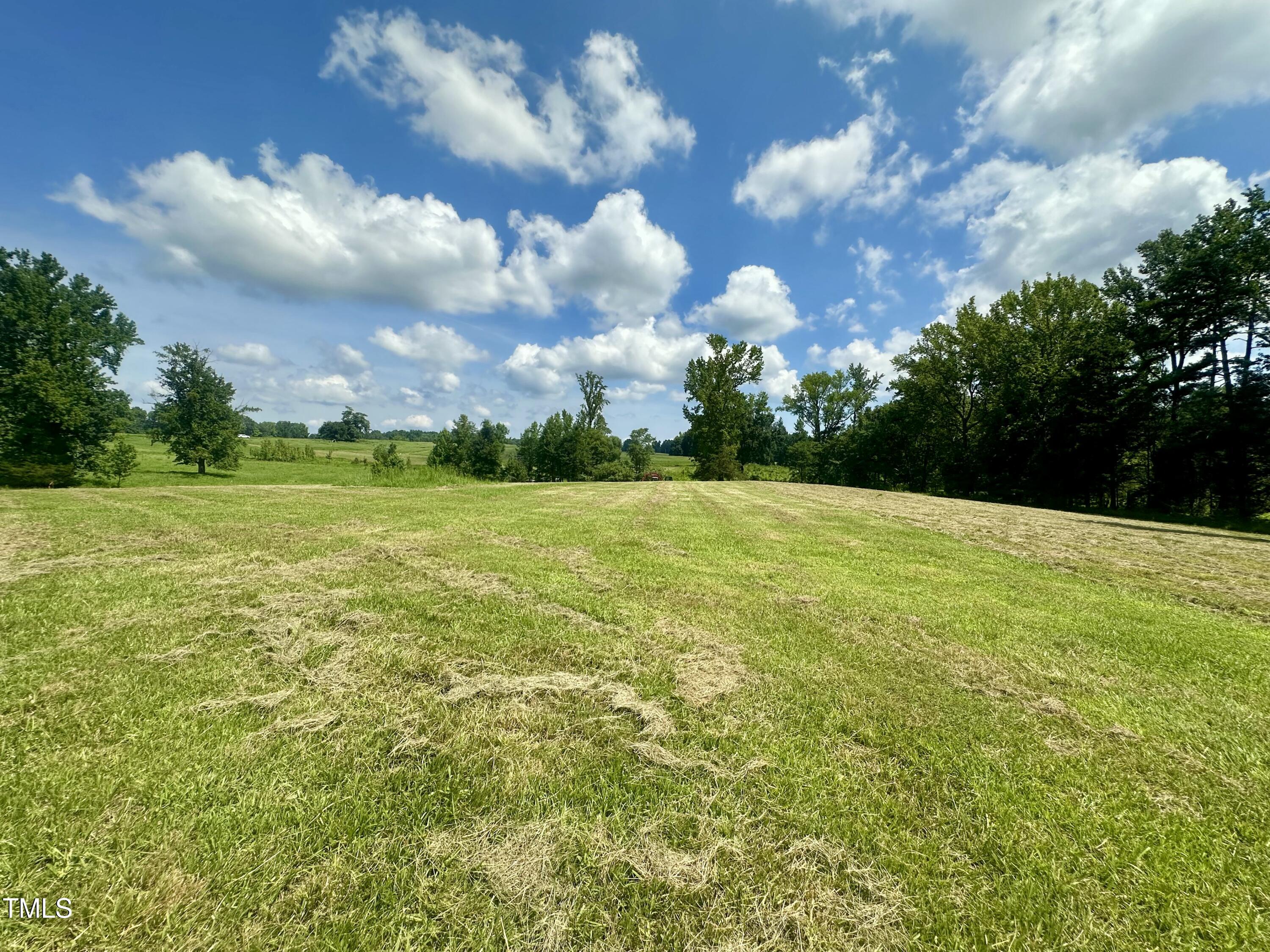 Lot 4 Jones Road Hurdle Mills, NC 27541 - Photo 15 of 20 a view of a green field with wooden fence