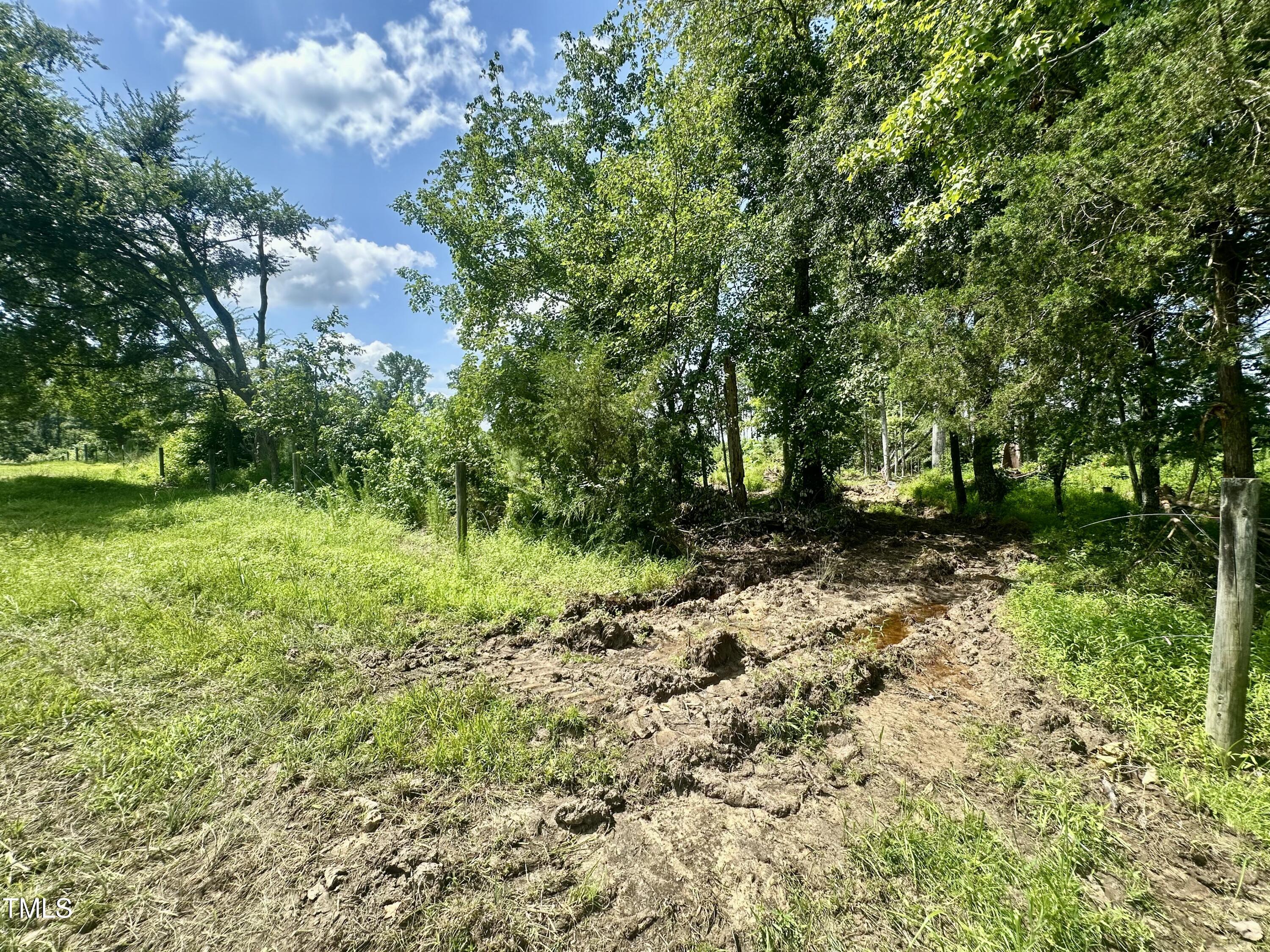 Lot 4 Jones Road Hurdle Mills, NC 27541 - Photo 16 of 20 a big yard with lots of green space and deers