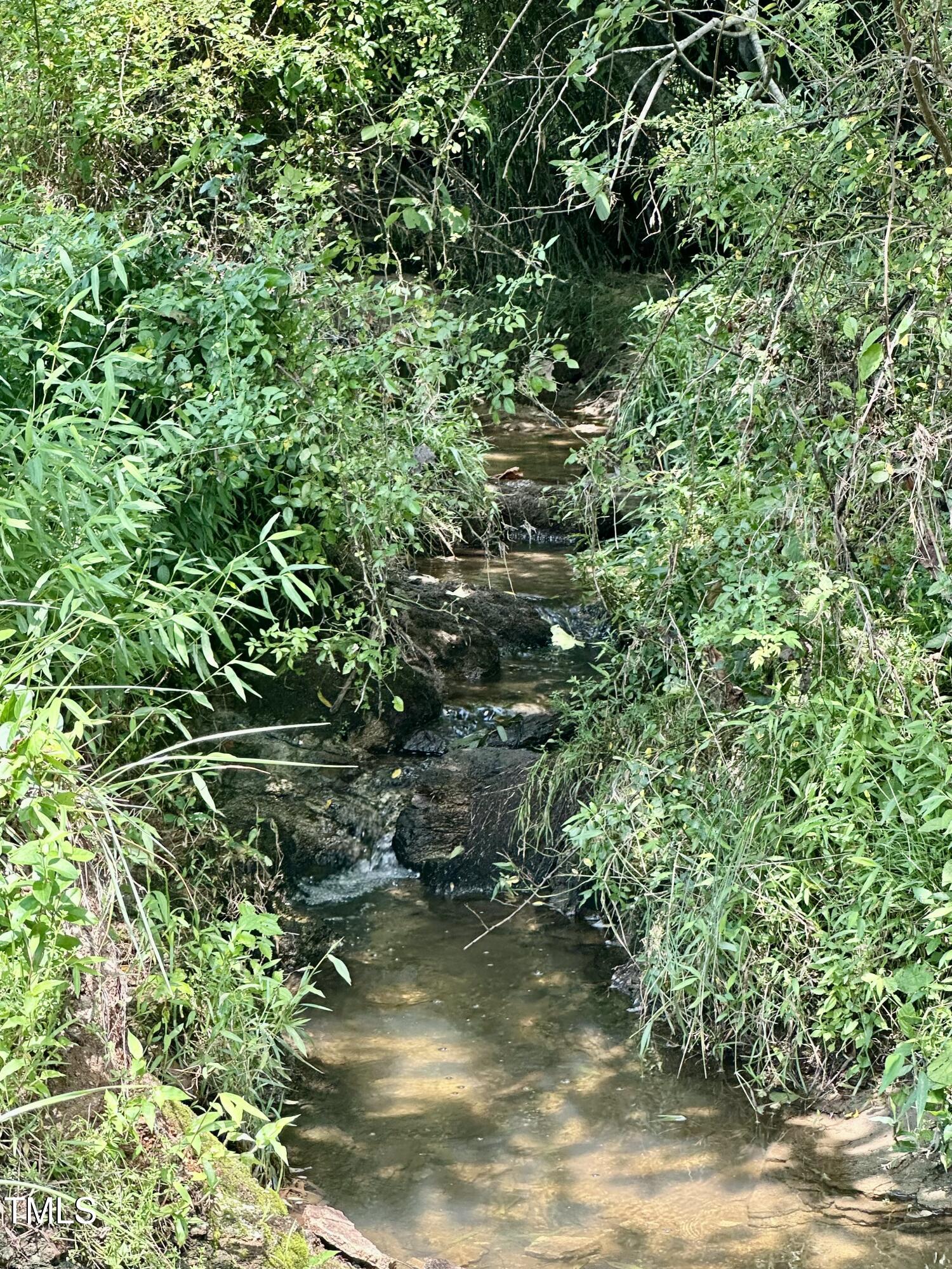 Lot 4 Jones Road Hurdle Mills, NC 27541 - Photo 17 of 20 a view of a yard