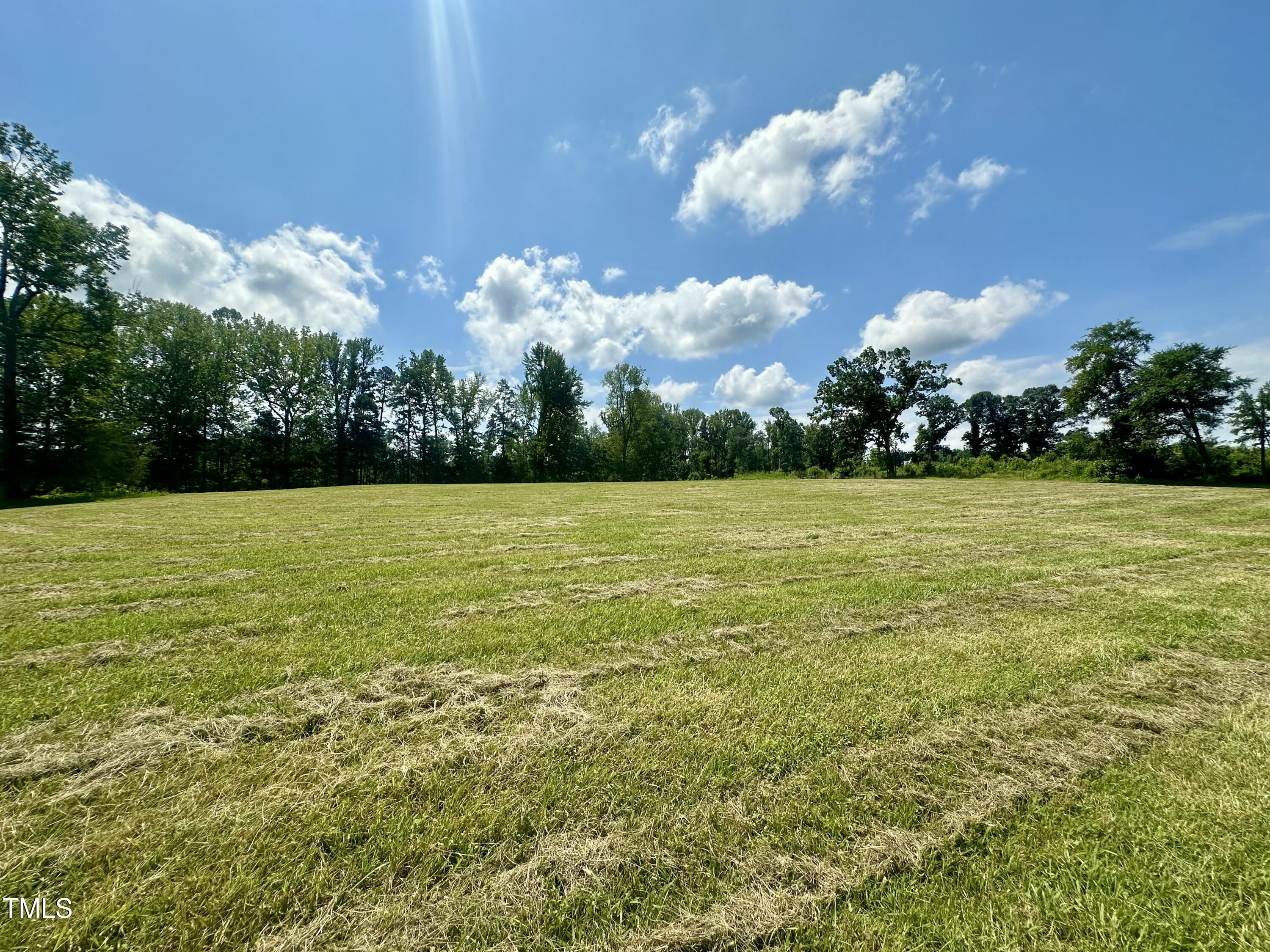 Lot 4 Jones Road Hurdle Mills, NC 27541 - Photo 3 of 20 a view of a garden with a building in the background