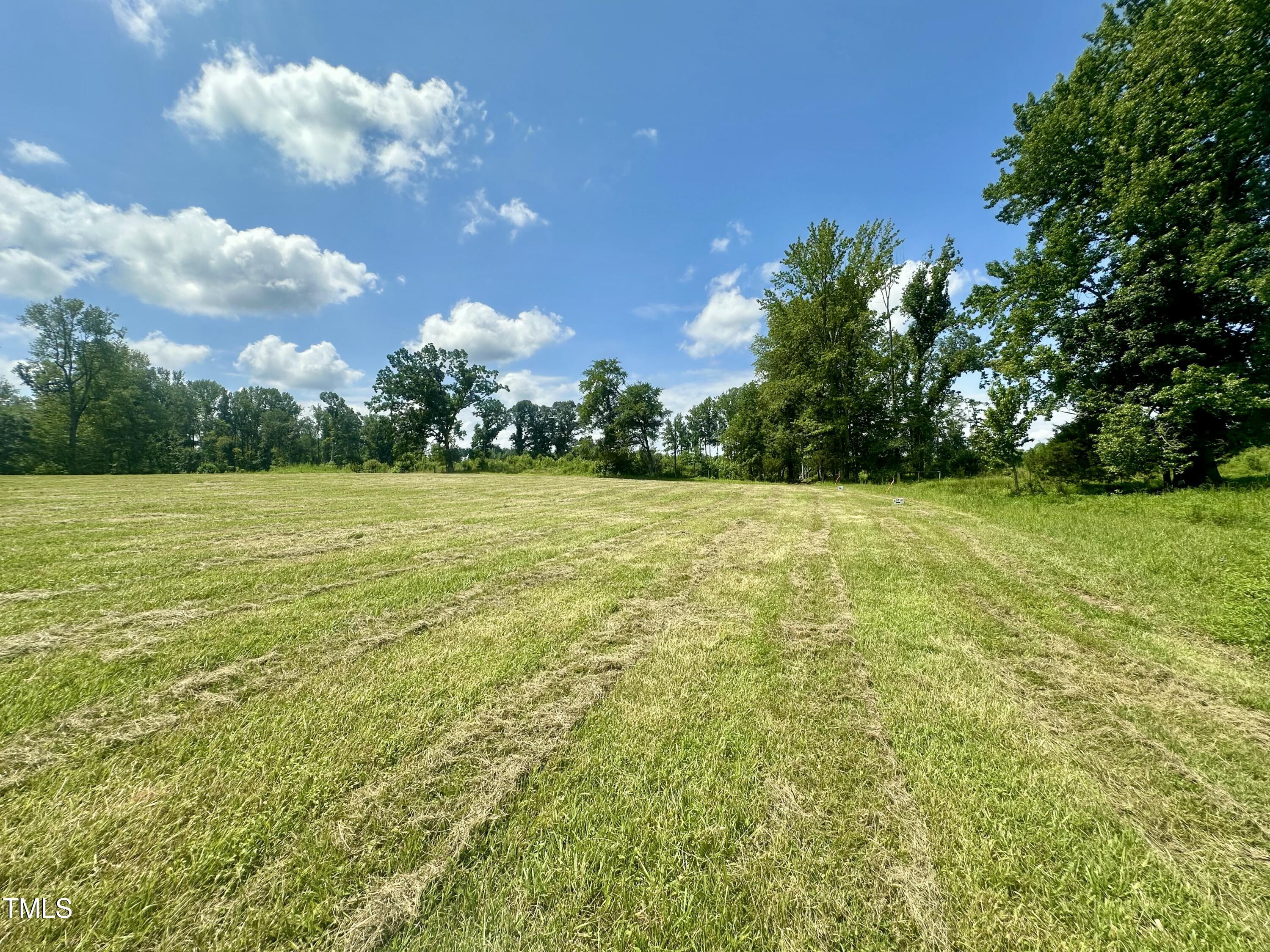 Lot 4 Jones Road Hurdle Mills, NC 27541 - Photo 4 of 20 a view of a field with an trees in the background