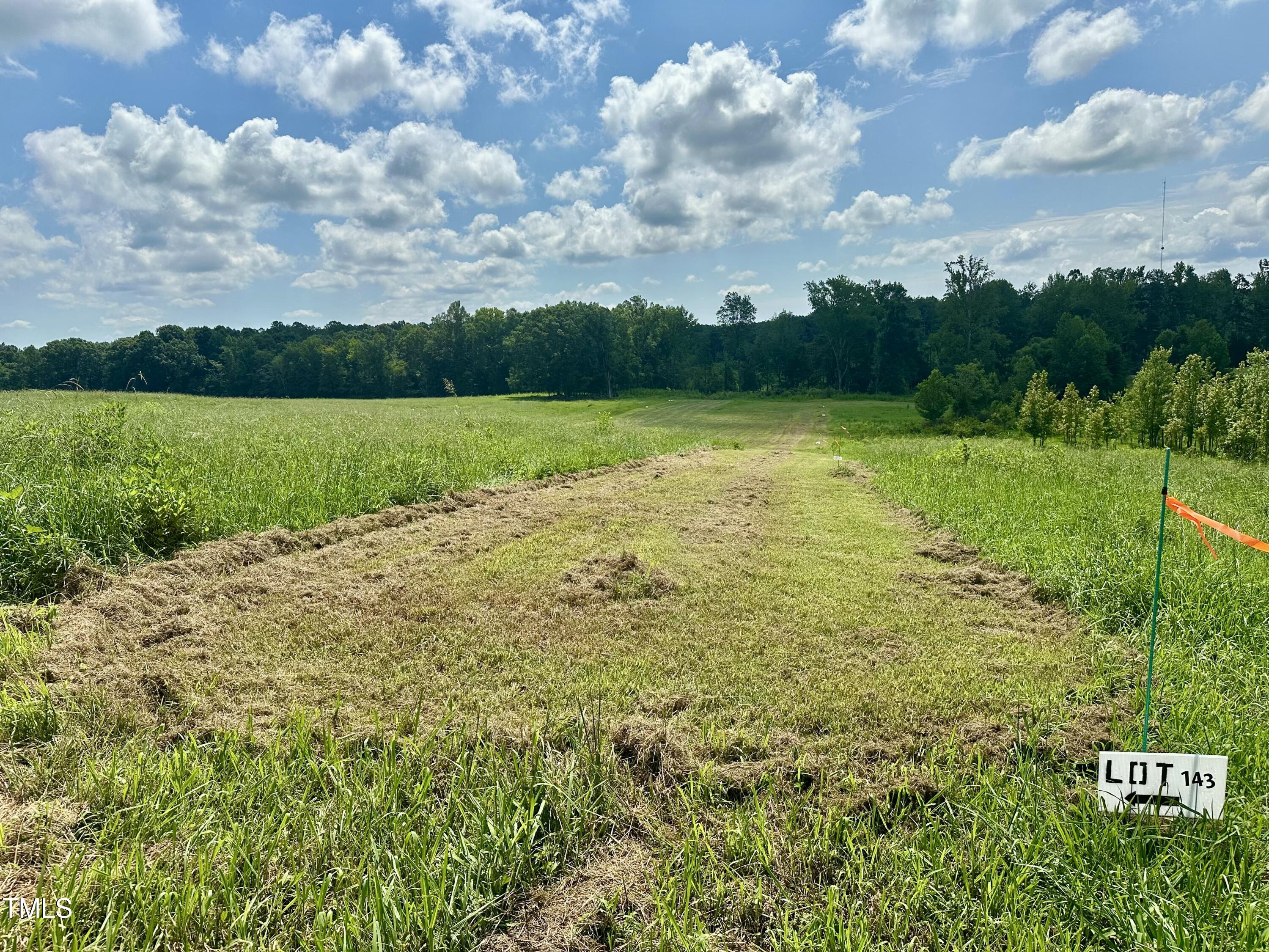 Lot 4 Jones Road Hurdle Mills, NC 27541 - Photo 6 of 20 a view of a green field with wooden fence