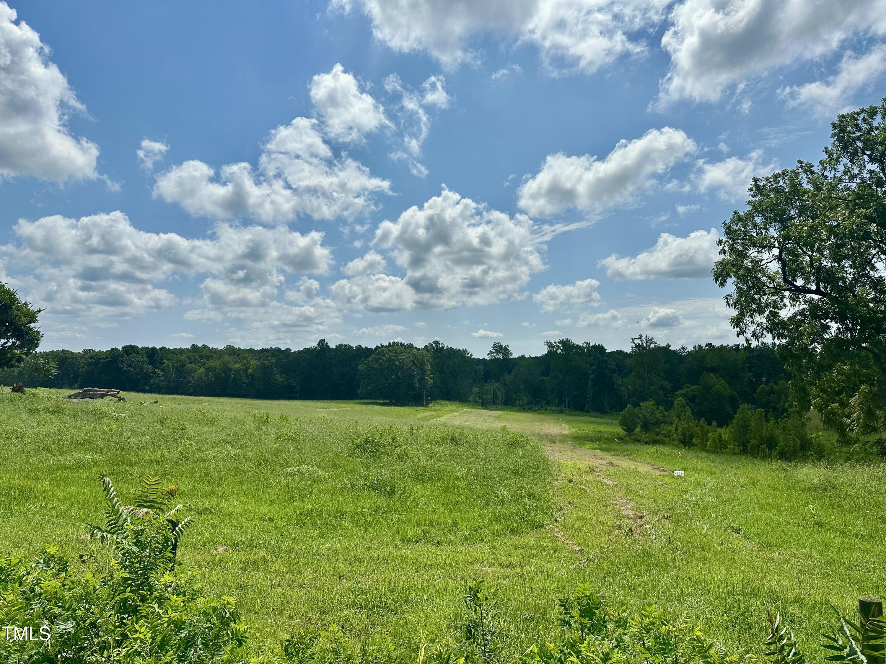 Lot 4 Jones Road Hurdle Mills, NC 27541 - Photo 8 of 20