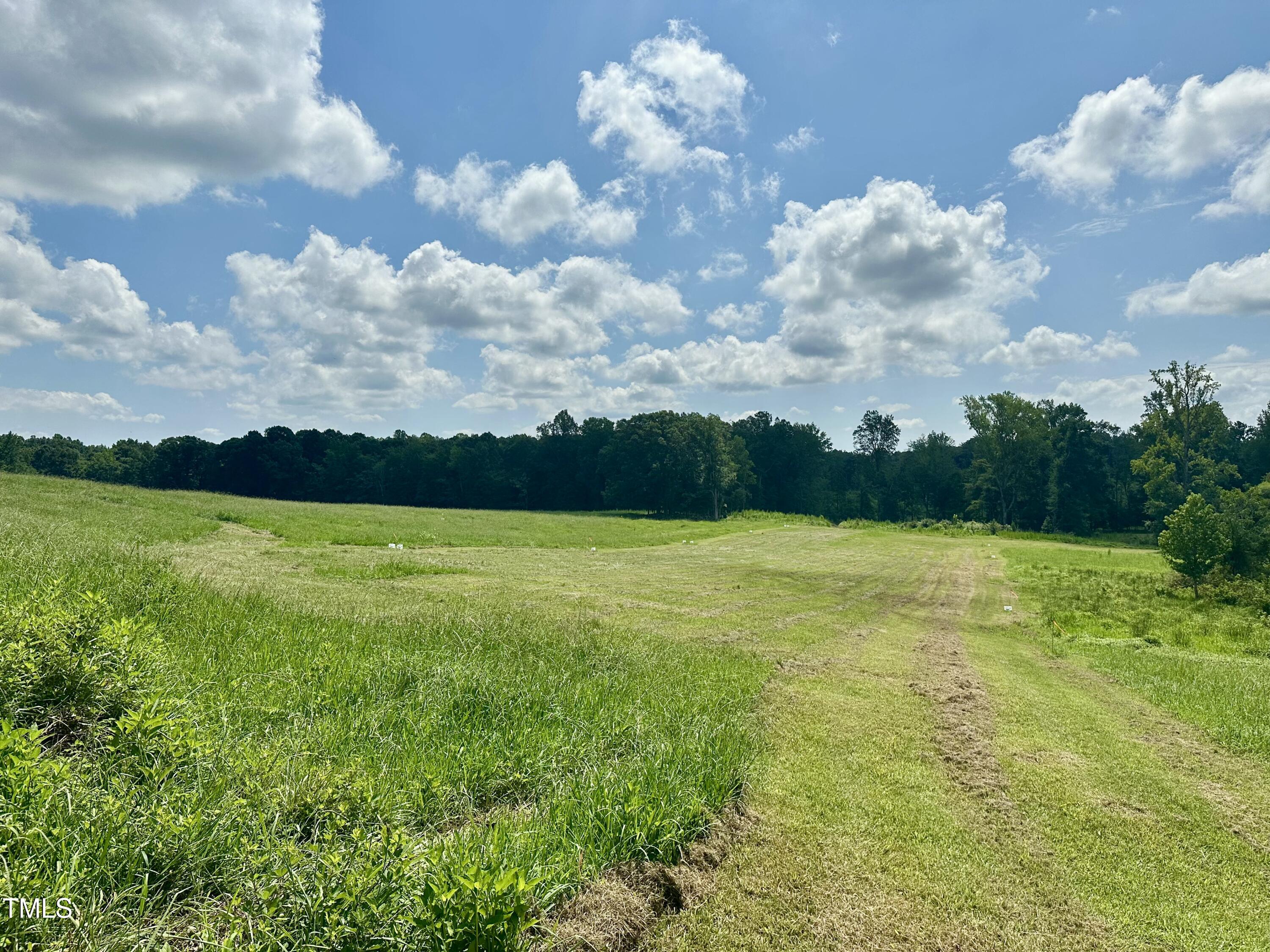 Lot 4 Jones Road Hurdle Mills, NC 27541 - Photo 9 of 20 a view of a lake view