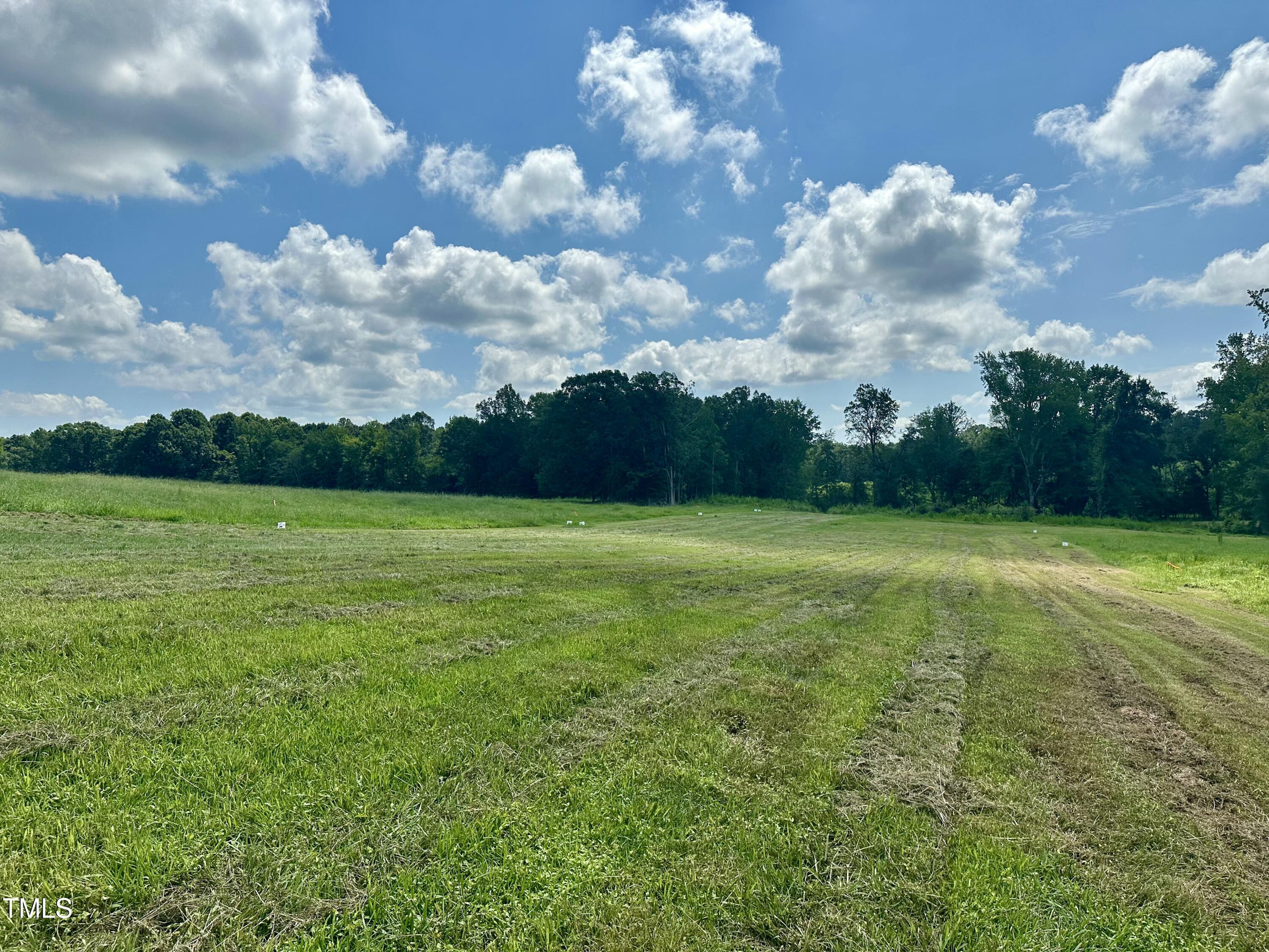 Lot 4 Jones Road Hurdle Mills, NC 27541 - Photo 10 of 20 a view of a garden