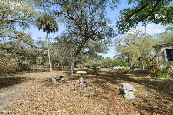 a view of dirt yard with a large tree