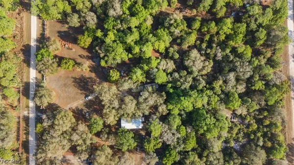 a backyard of a house with a tree