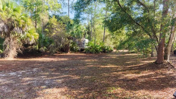 a view of outdoor space with trees
