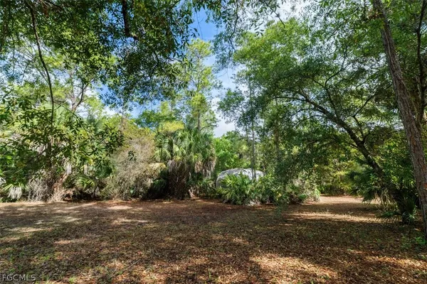 a view of a yard with a tree