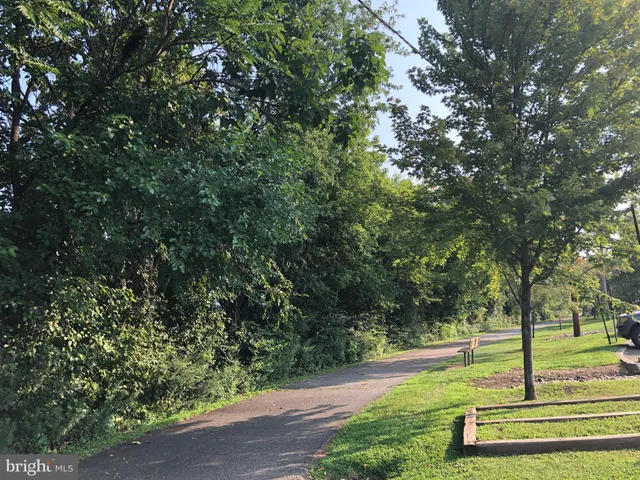 a view of a yard with plants and trees