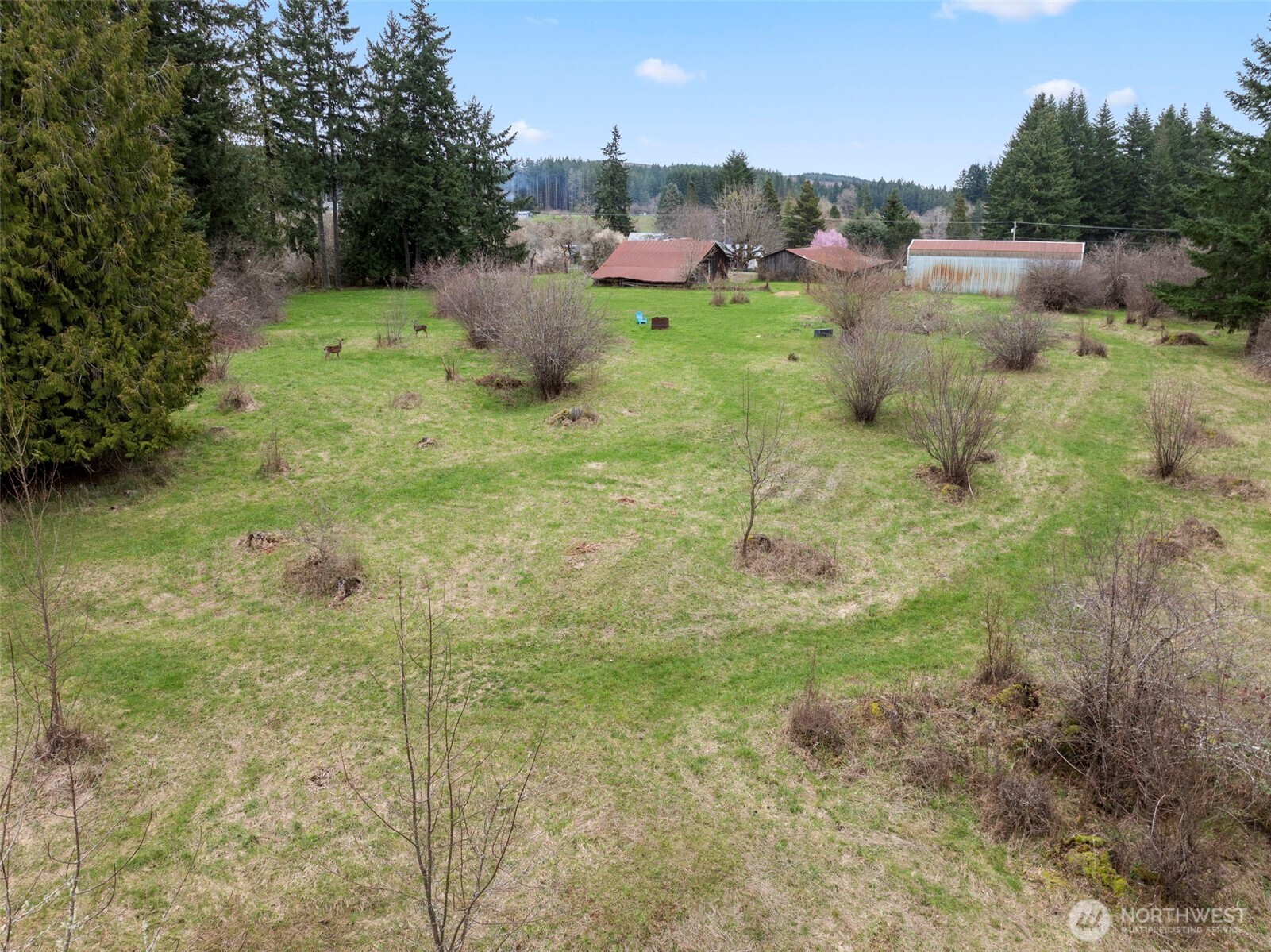 251 Chandler Road Chehalis, WA 98532 - Photo 40 of 40