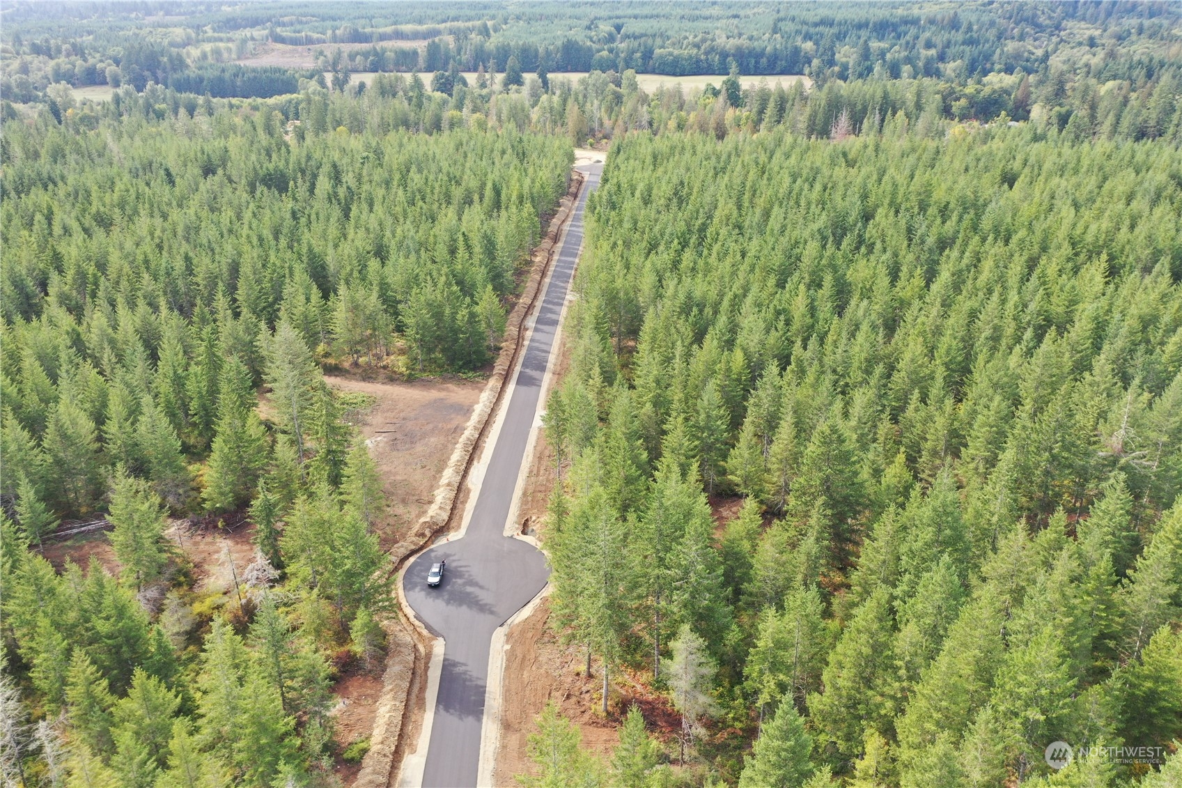 0 Lot 1 Div Elma, WA 98541 - Photo 7 of 10 a view of a yard with plants