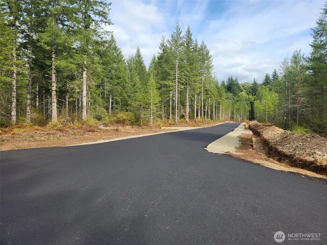 a view of a road with trees in the background