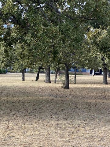 a view of outdoor space with trees