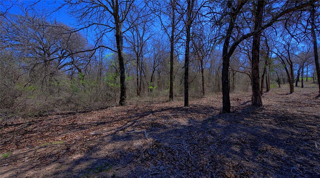 0 North Muy Grande Nocona Tx  