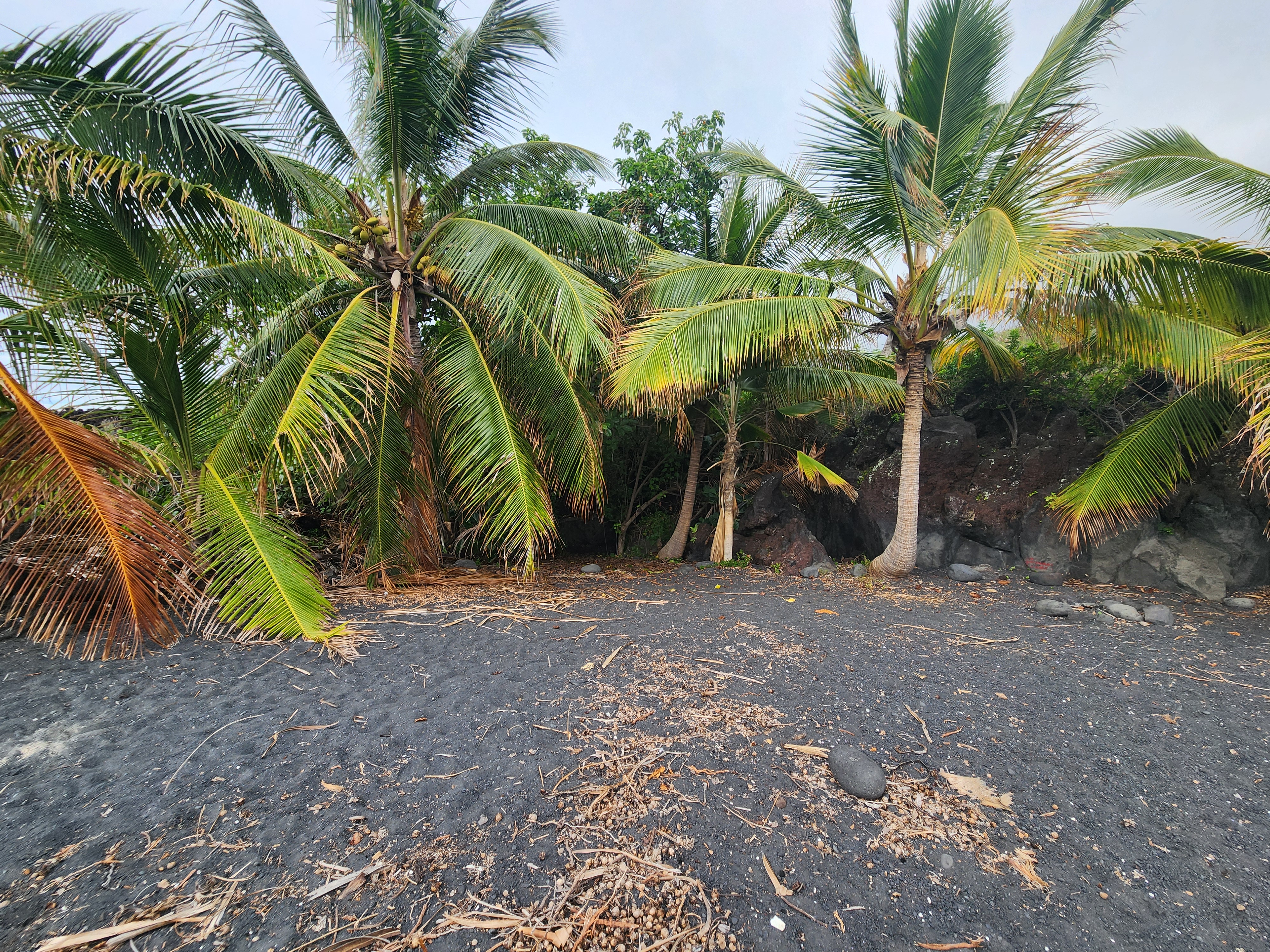12 Mamalahoa Highway Kealakekua, HI 96750 - Photo 5 of 9 a view of road and with trees