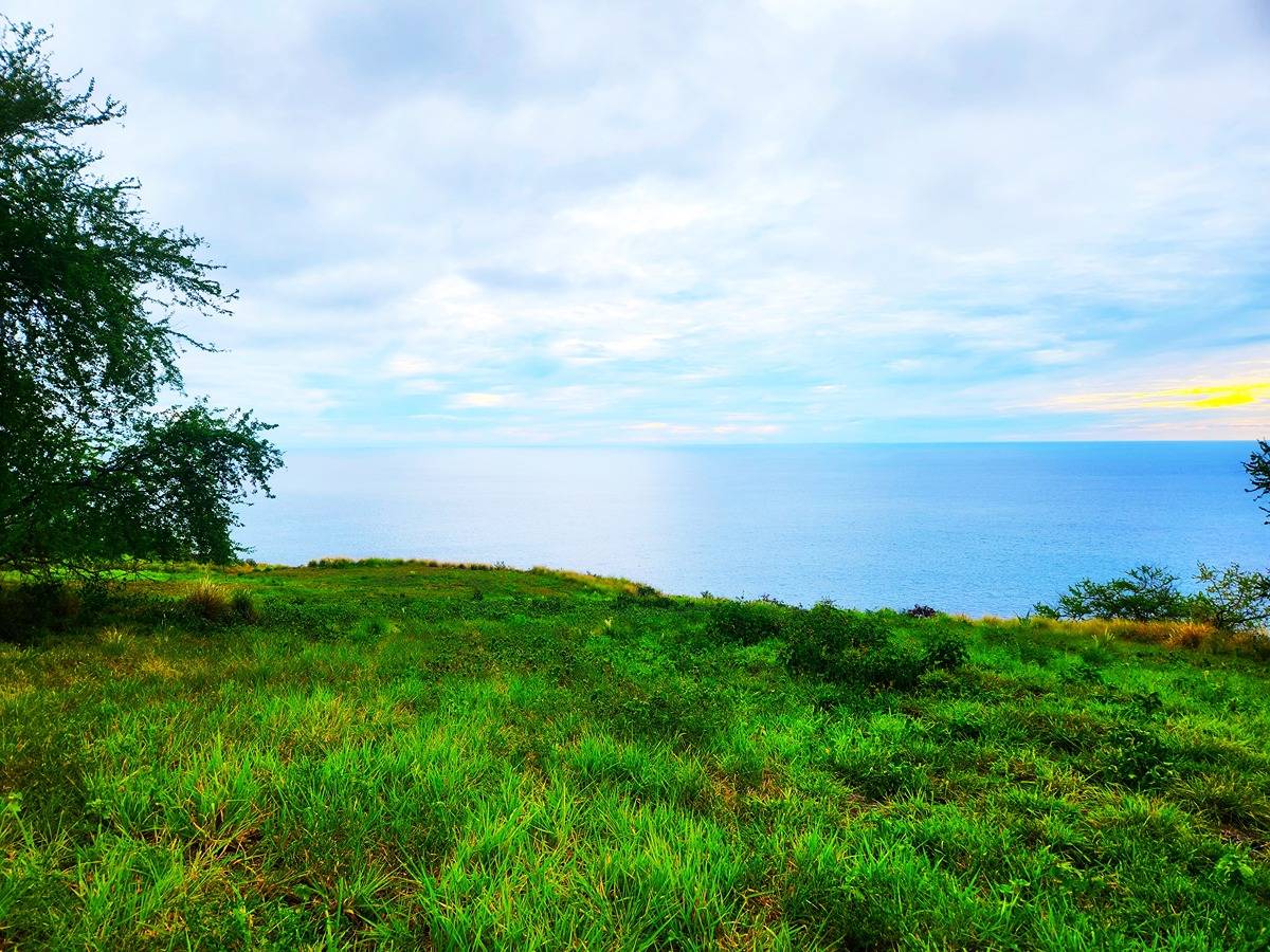 12 Mamalahoa Highway Kealakekua, HI 96750 - Photo 6 of 9 a view of a lake with a big yard