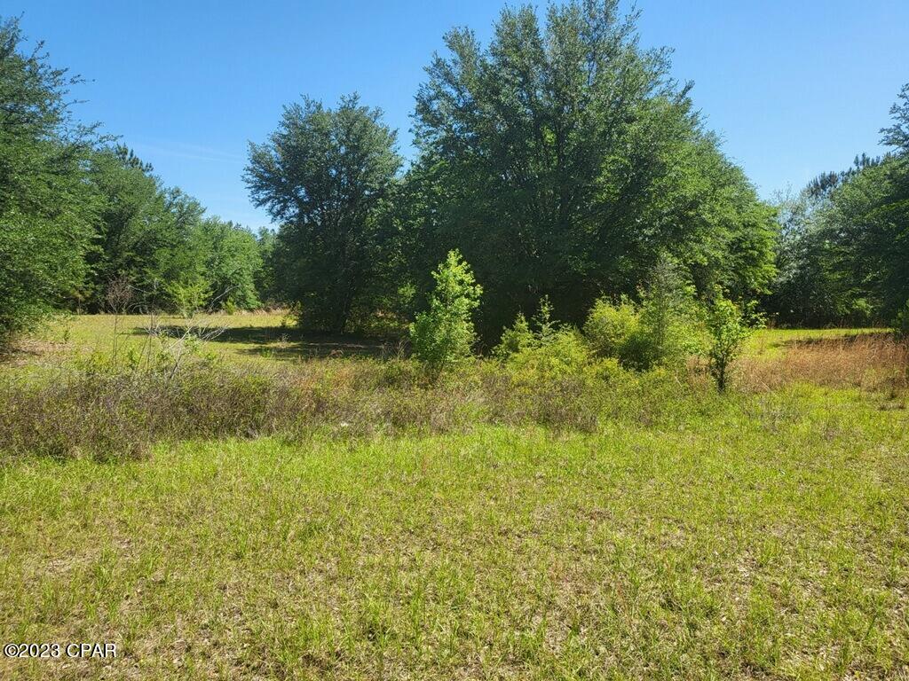 4577 Azalea Lane Vernon, FL 32462 - Photo 8 of 14 Gallery Image 8