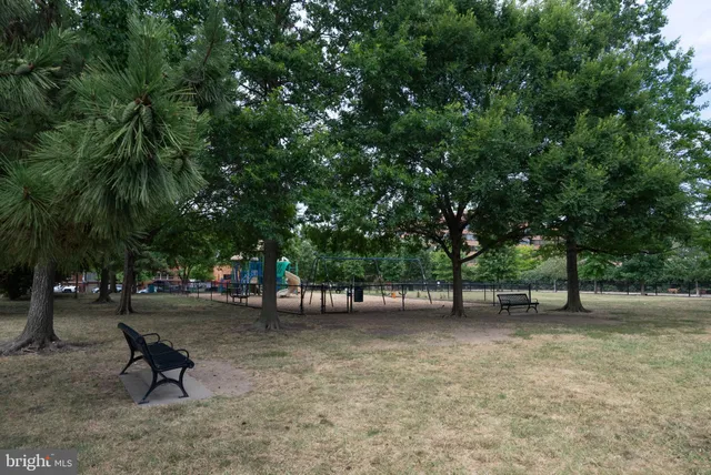 a view of a park with large trees