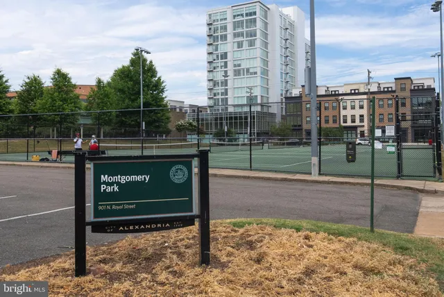 a view of a tennis ground with large trees in the background