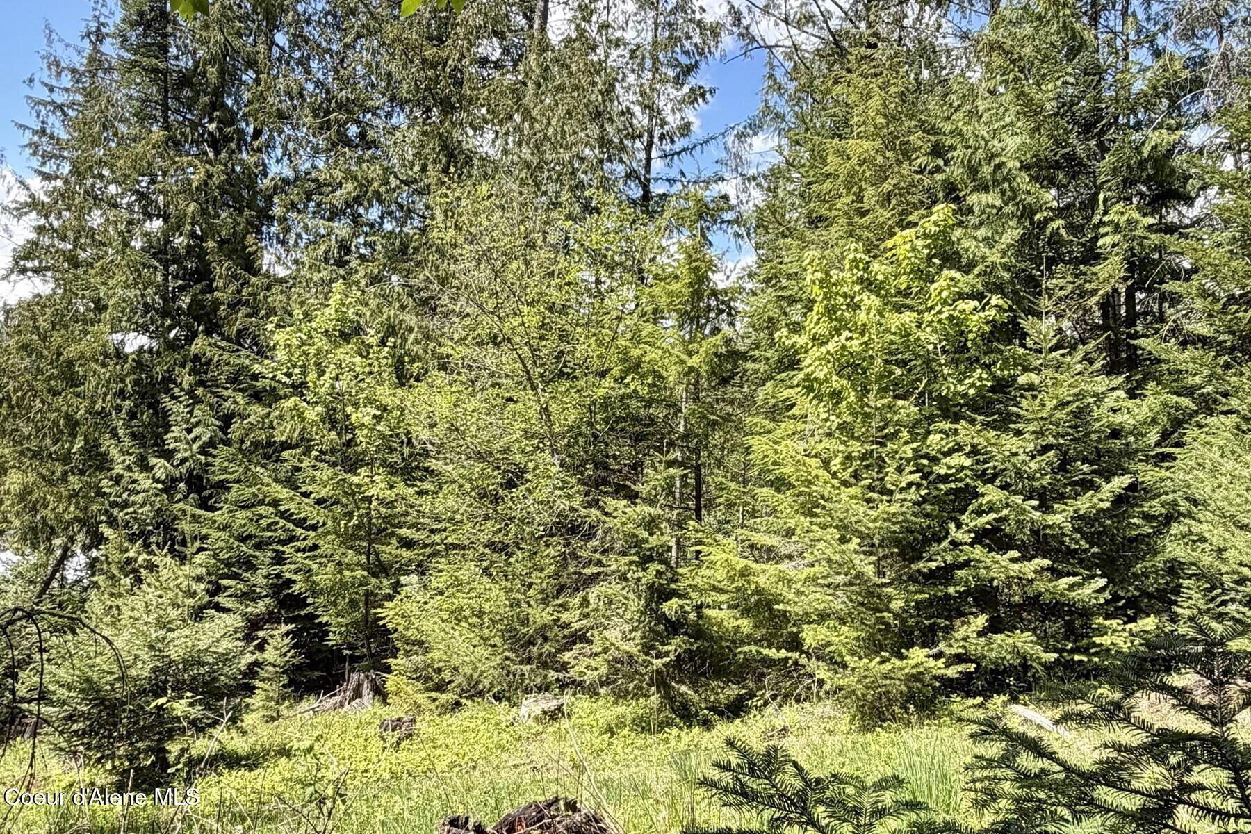 Nna Lot 4 Nna Road Sagle, ID 83860 - Photo 3 of 36 003_IMG_1447