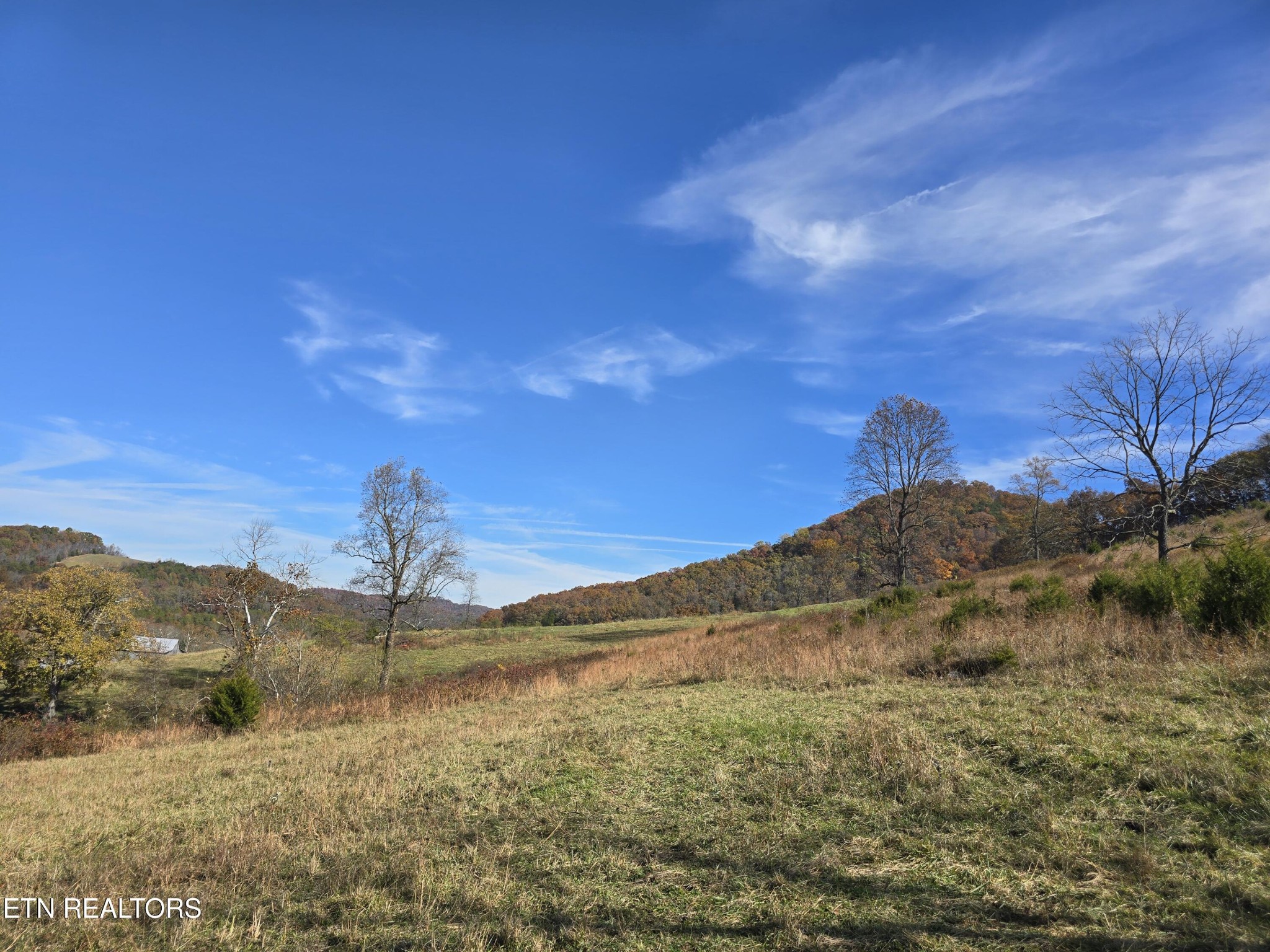2391 Hogskin Road Washburn, TN 37888 - Photo 21 of 30 Gallery Image 21