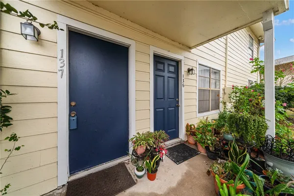 a potted plant sitting in front of a door