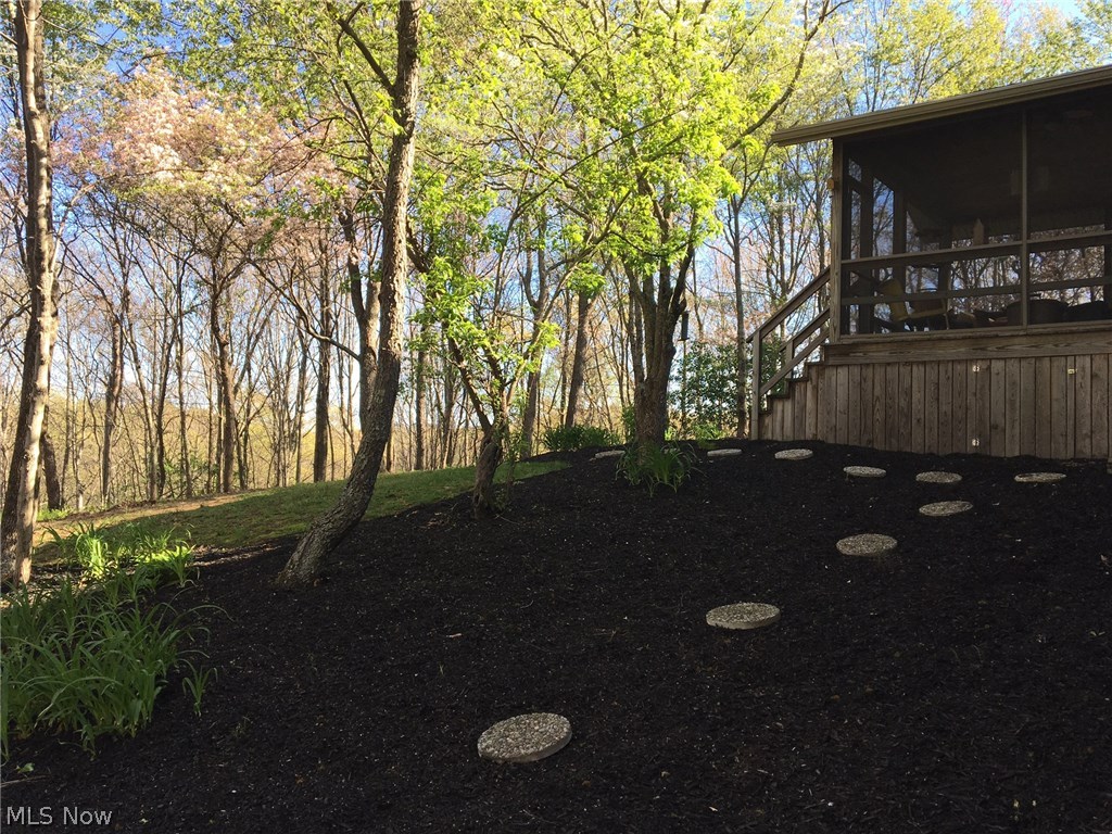 10055 Dunlap Road Cambridge, OH 43725 - Photo 26 of 28 Backyard view
