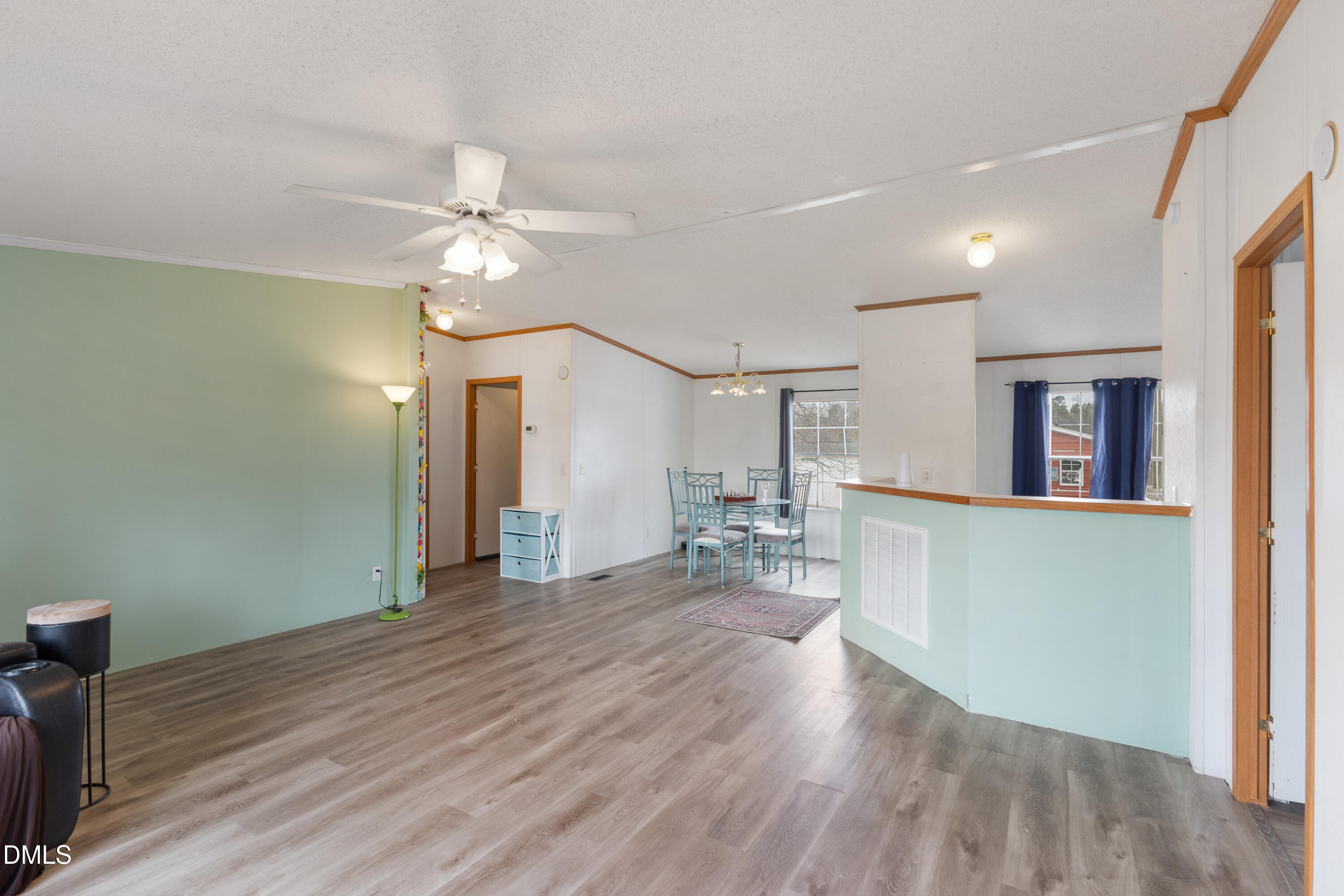 243 Carlyle Road Zebulon, NC 27597 - Photo 9 of 32 CY1A9895