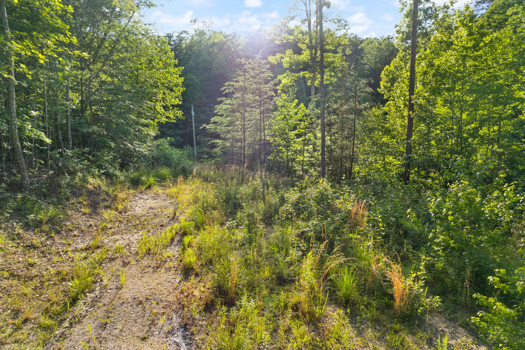 165 Chaneyville Road Stanton, KY 40380 - Photo 1 of 7 60-web-or-mls-DJI_0446