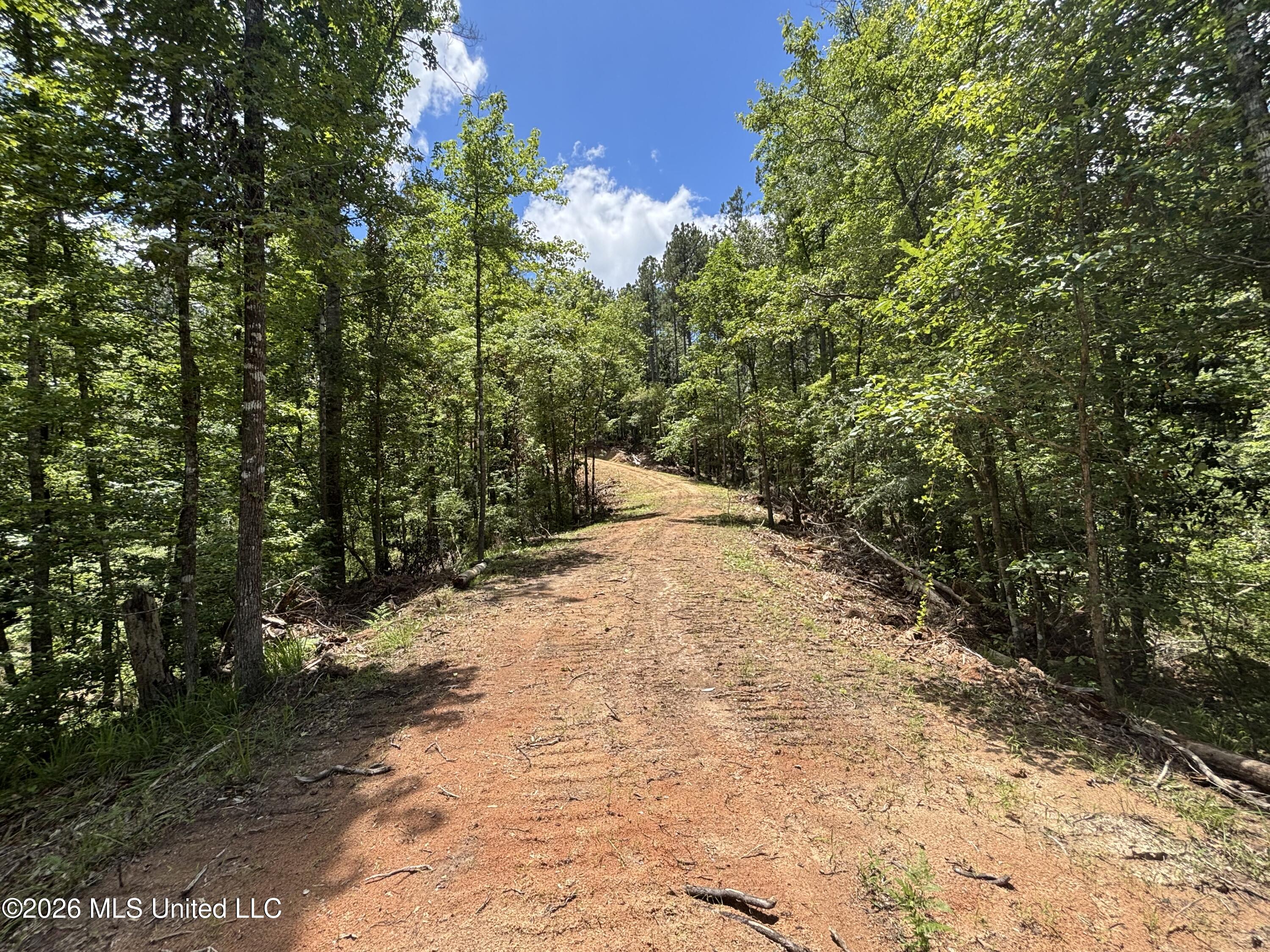 Stump Road Crosby, MS 39633 - Photo 29 of 60 IMG_4370