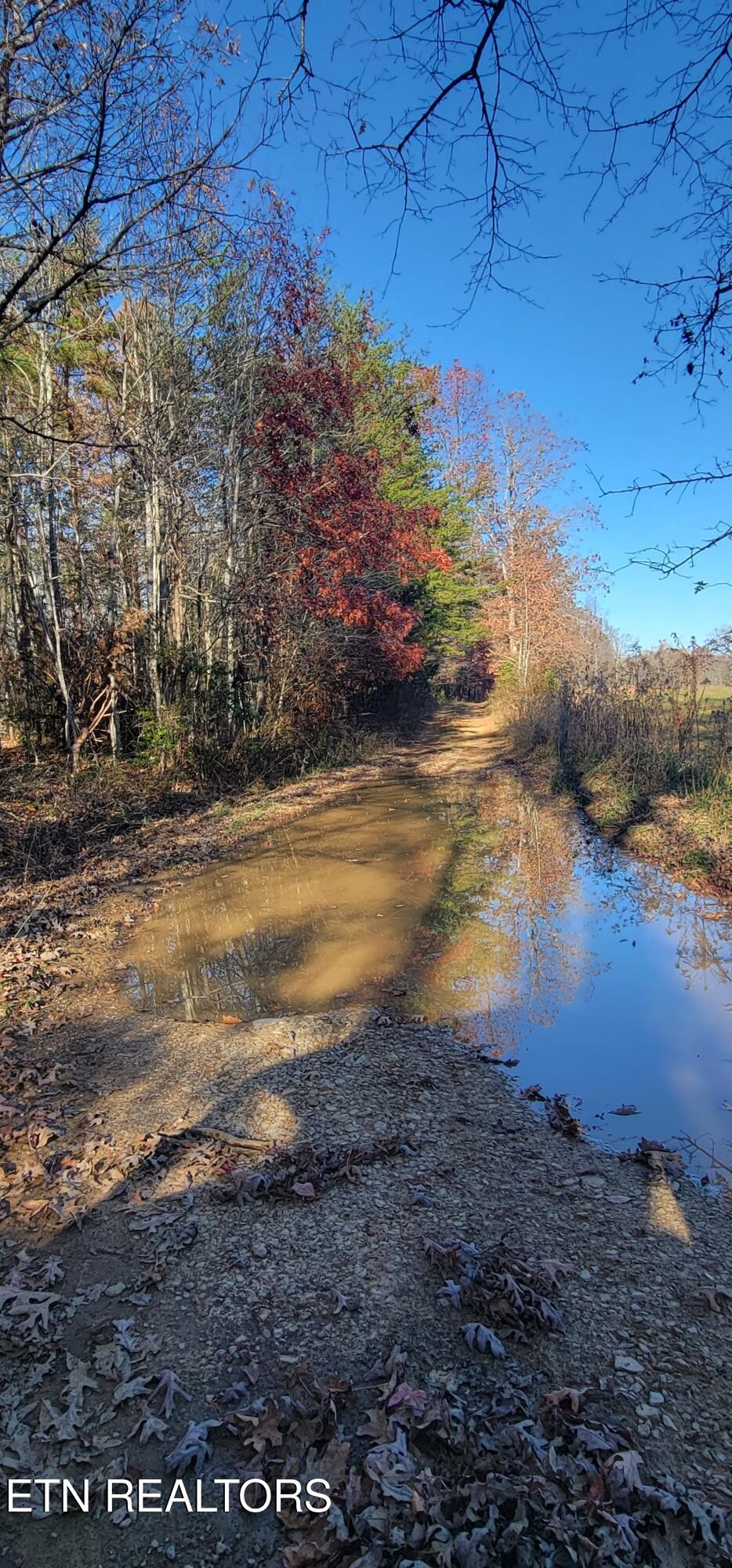 0 Kidd Mill Road Oneida, TN 37841 - Photo 23 of 24 Gallery Image 23