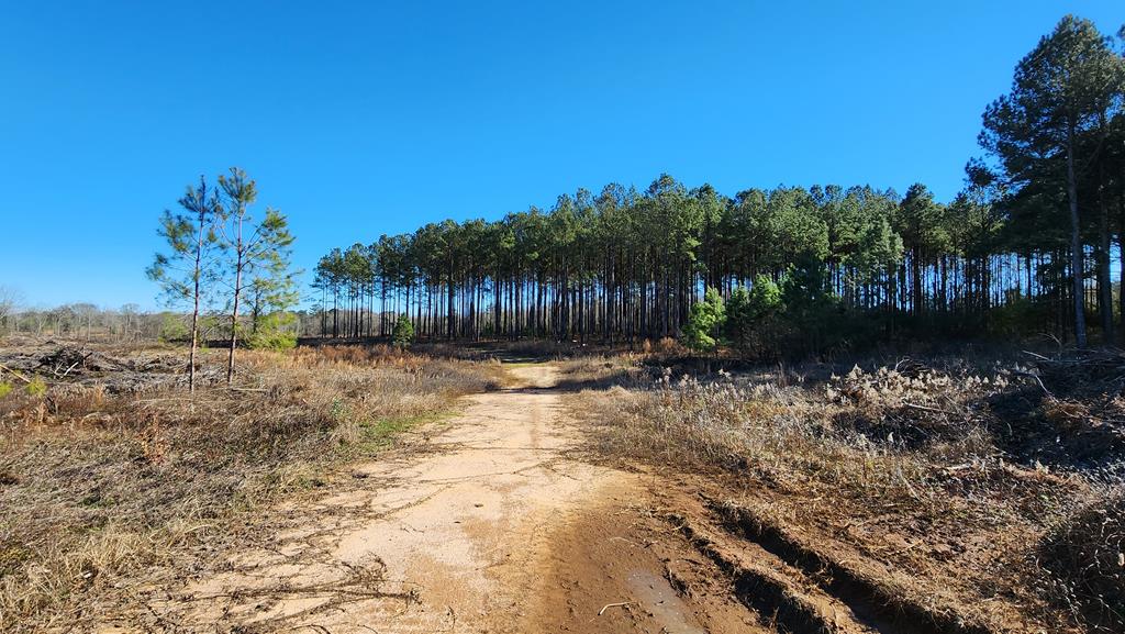 20-acres Hudson Road Columbia, AL 36319 - Photo 39 of 40
