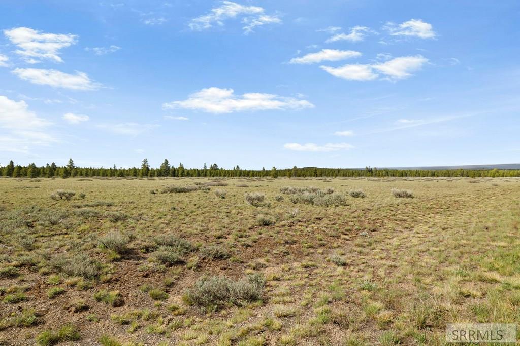 3565 Pine Grouse Road Island Park, ID 83429 - Photo 13 of 15