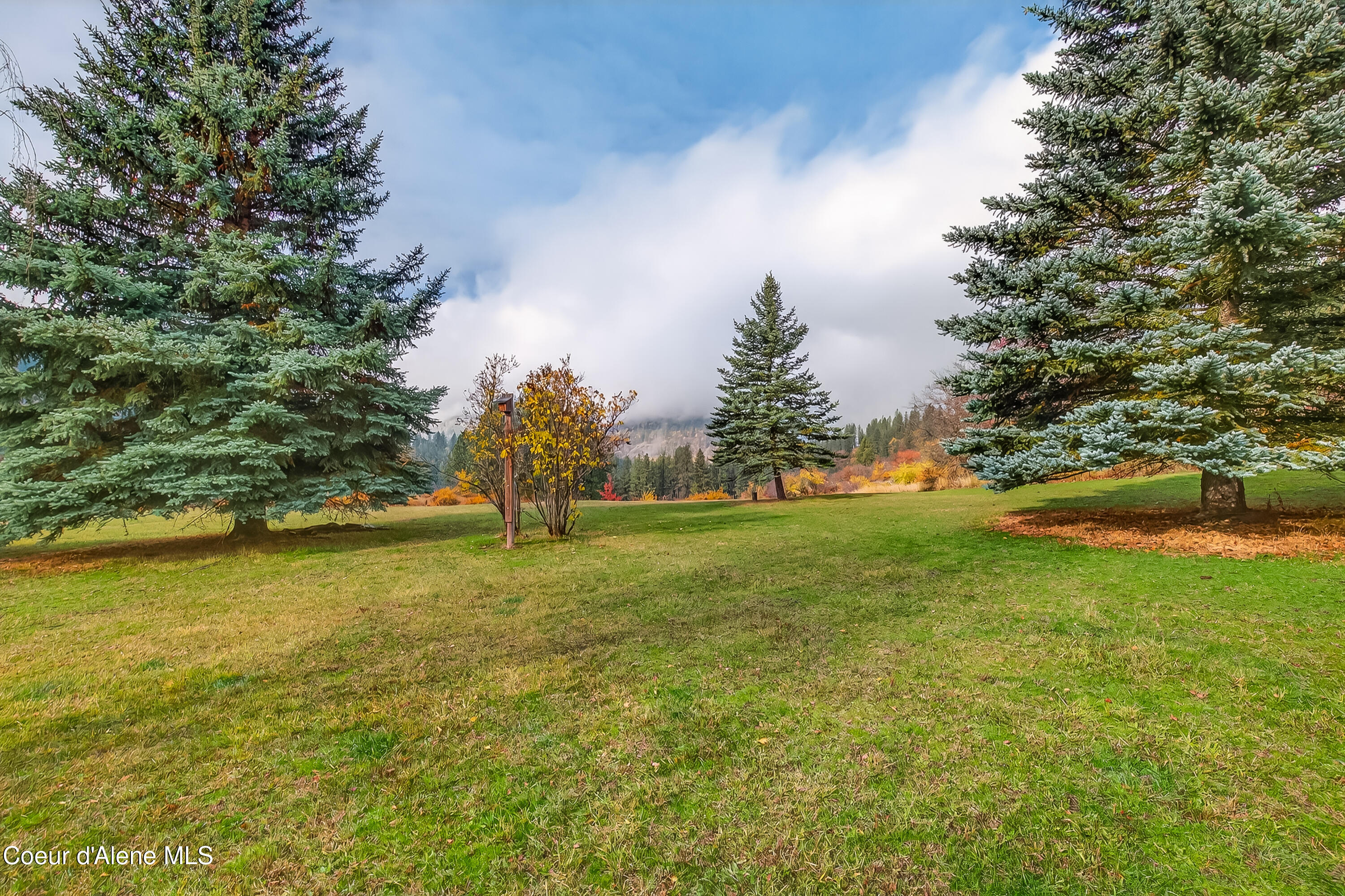 1383 Cedar Ridge Road Kendrick, ID 83537 - Photo 35 of 70 AM3I9422