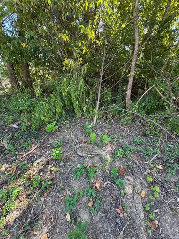 $39,000 | 732 West Thornridge Way, Spencer, IN 47460