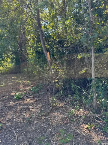 $39,000 | 732 West Thornridge Way, Spencer, IN 47460