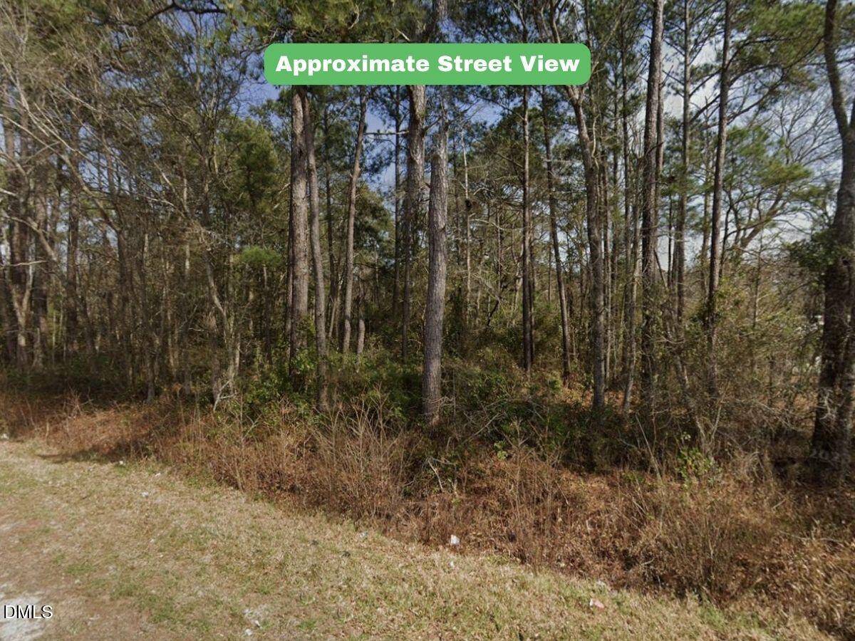 2310 Kirby Road Southwest Supply, NC 28462 - Photo 3 of 21 a view of backyard with green space